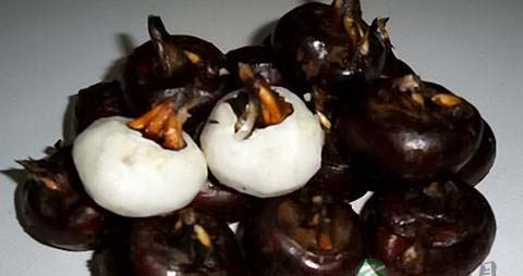 孕妇吃什么生津止渴