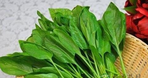 缺铁性贫血吃什么