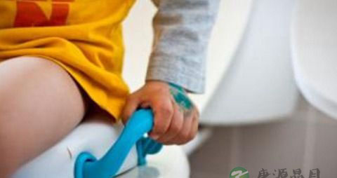 腹泻期间吃什么