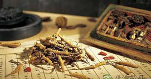 脂溢性脱发用什么