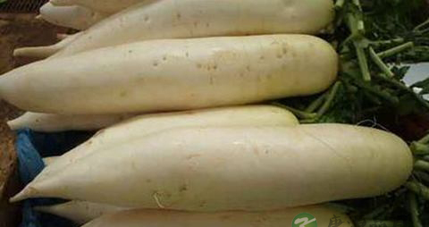 白萝卜怎样吃好