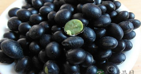 脱发的治疗方法