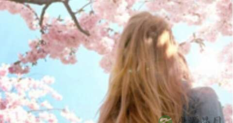 光掉头发怎么办