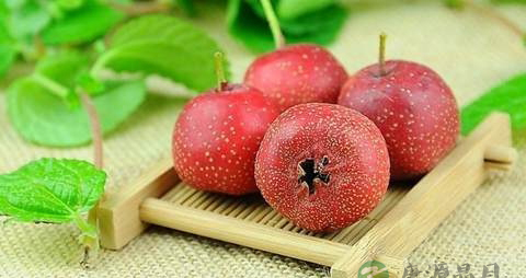 吃什么可以降低血脂