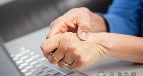 风湿吃什么补品