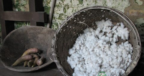 鸡内金粉的功效