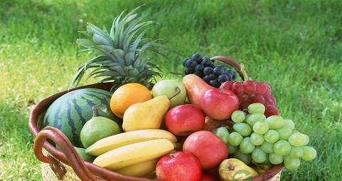 骨髓增生异常综合征饮食