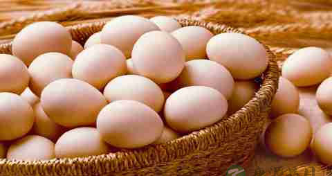 脱发白发吃什么好