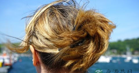 掉头发的原因有哪些