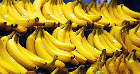 女性脂溢性脱发怎么办