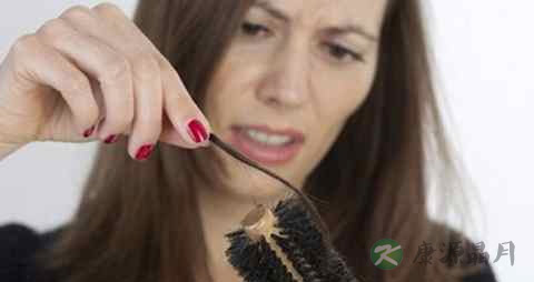 女性脂溢性脱发的原因