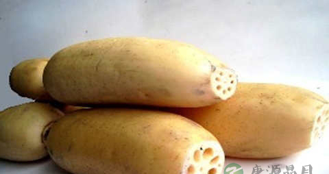 清热解毒除湿的食物