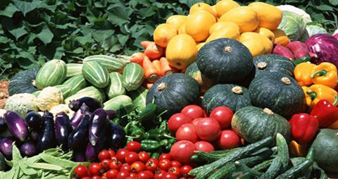 小孩子增强抵抗力吃什么好