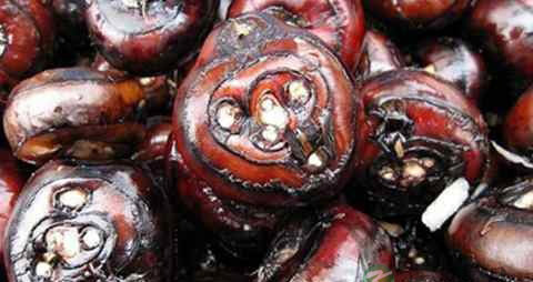 牙龈肿痛怎么办吃什么水果