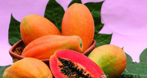 吃什么东西能使头发变黑