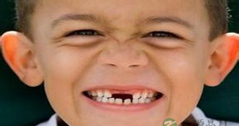 牙齿掉了吃什么