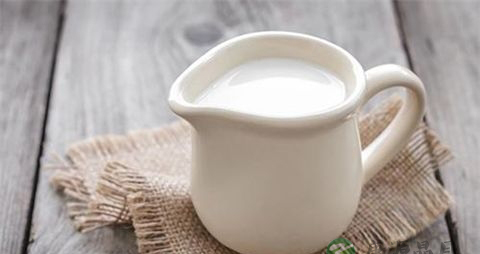 纯牛奶的营养价值