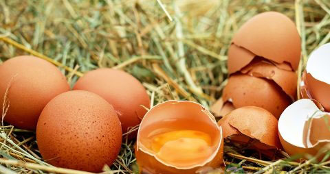 鸡蛋怎样吃好吃