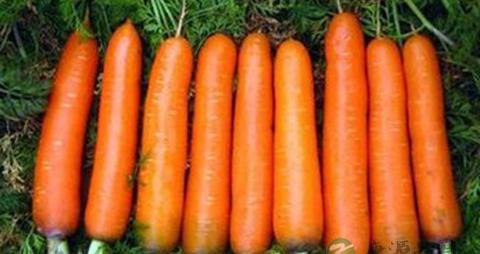 什么可以生发黑发