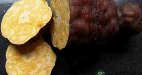 吃什么东西可以让头发变黑