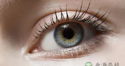 吃什么可以护眼