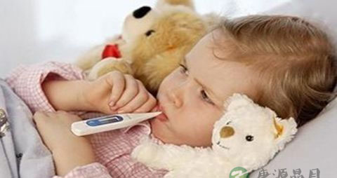 提高免疫力吃什么食物