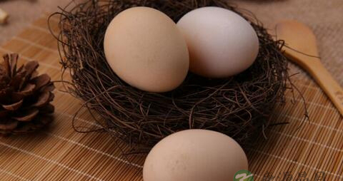 鸡蛋怎样吃好消化