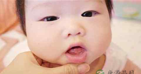 牙龈发炎吃什么菜