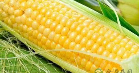 生发食物有哪些