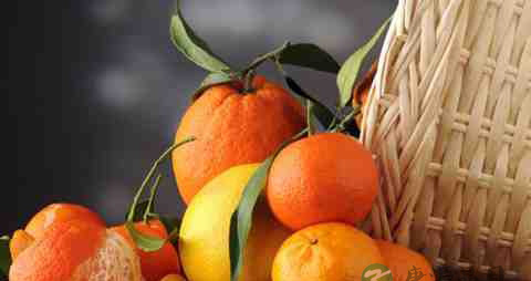 吃什么促进生发