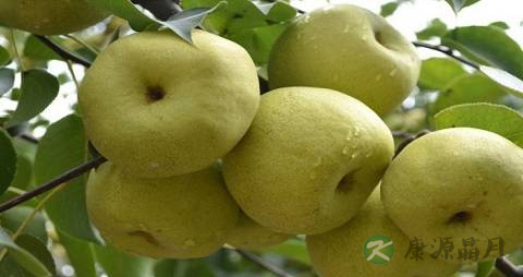 清热解毒的东西