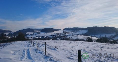 情绪低落的症状