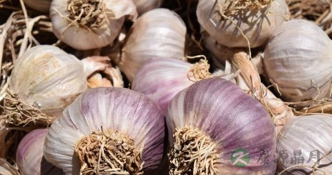 中耳炎吃什么好