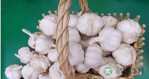 牙龈肿了吃什么好