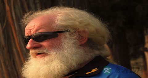 血压偏高吃什么好