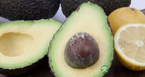 牛油果可以每天吃吗