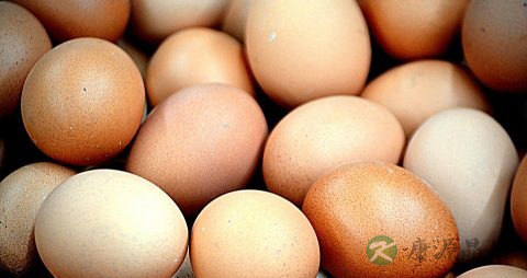 煮过鸡蛋的怎样吃好吃