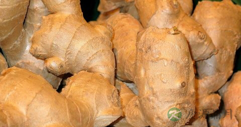 生姜变绿了还能吃吗