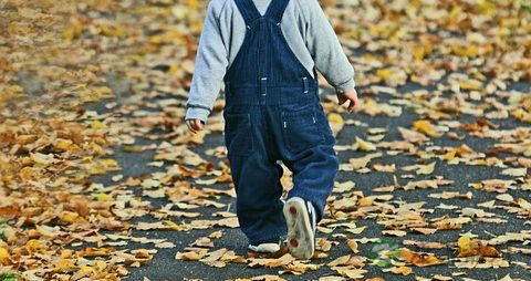 儿童贫血吃什么