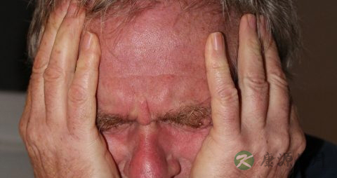 骨折了吃什么好