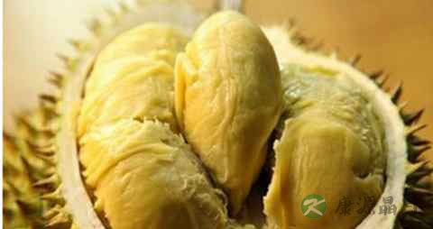 女生痛经吃什么水果好