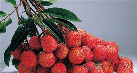 什么水果是清热解毒的