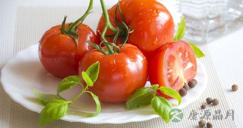 西红柿每天吃好吗