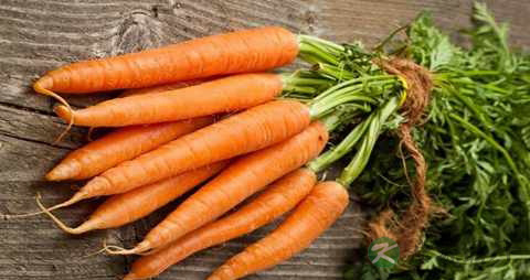 牙龈痛不能吃什么