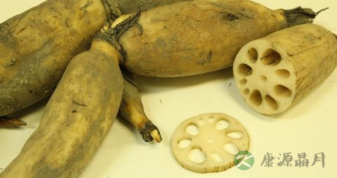 秋季健康饮食小常识