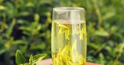 喝什么茶可以润喉