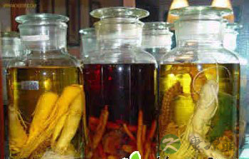 累了吃点抗疲劳药膳 累了吃点抗疲劳药膳