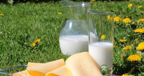 睡前喝牛奶会胖吗