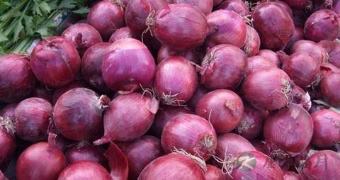 洋葱怎样吃好
