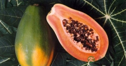 吃什么东西壮阳